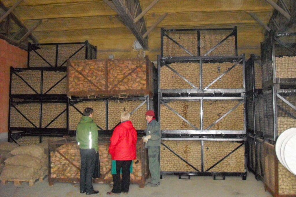 3 Mitarbeiter stehen vor mehreren Transportboxen, in denen sich Kartoffeln befinden