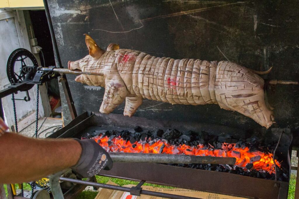Ein, auf ein Spieß gestecktes, Spanferkel wird auf einem Rost über offenen Feuer zubereitet